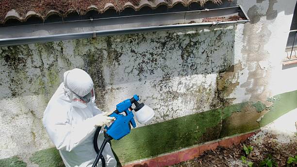 Trusted Mold Testing service in Clinton, TN - Cheap Mold Removal